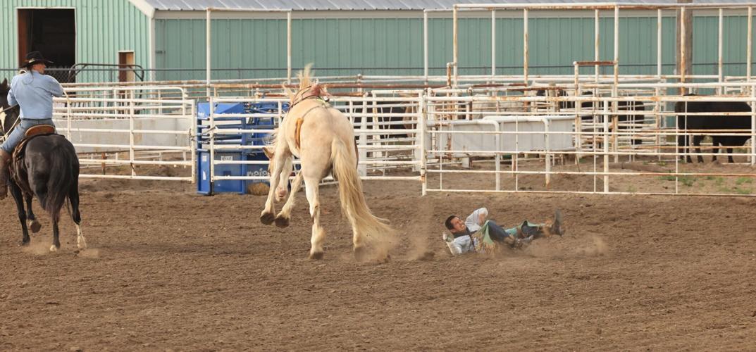 Rodeo