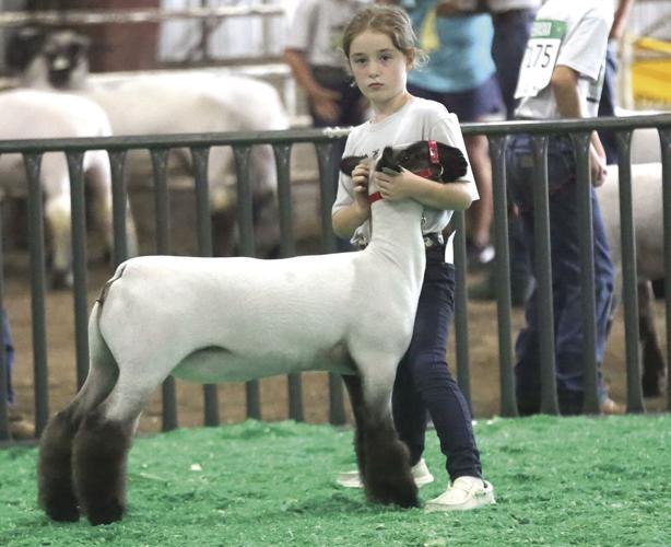 Fair preview
