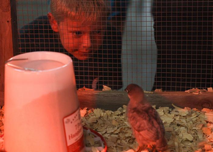 Lancaster County Super Fair , 8.3