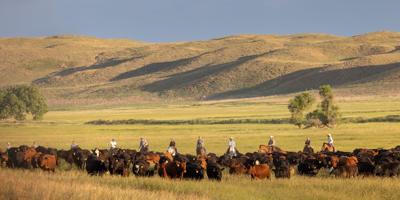 Who’s Buying Nebraska? After shopping spree, Mormon church is top land purchaser