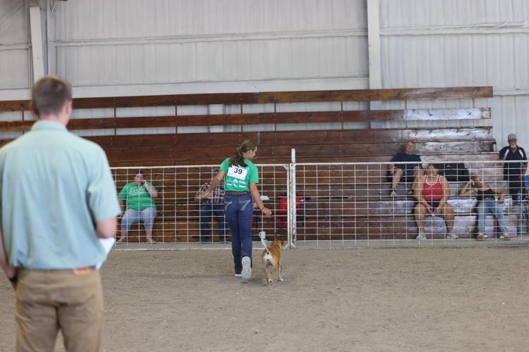 Showmanship champion reflects on her win at the Lincoln County Fair dog show