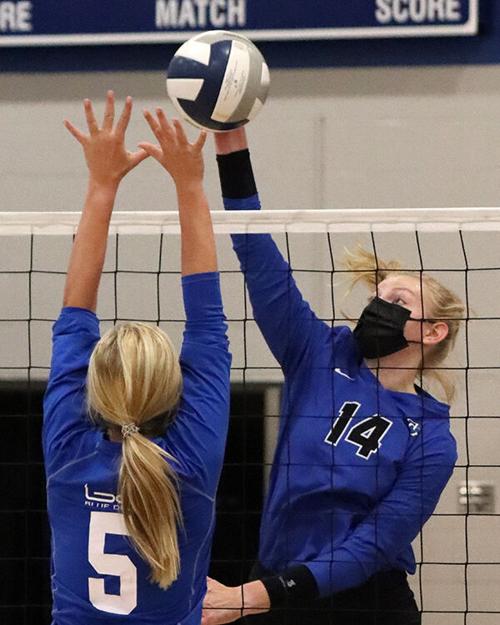 Bluejay volleyball