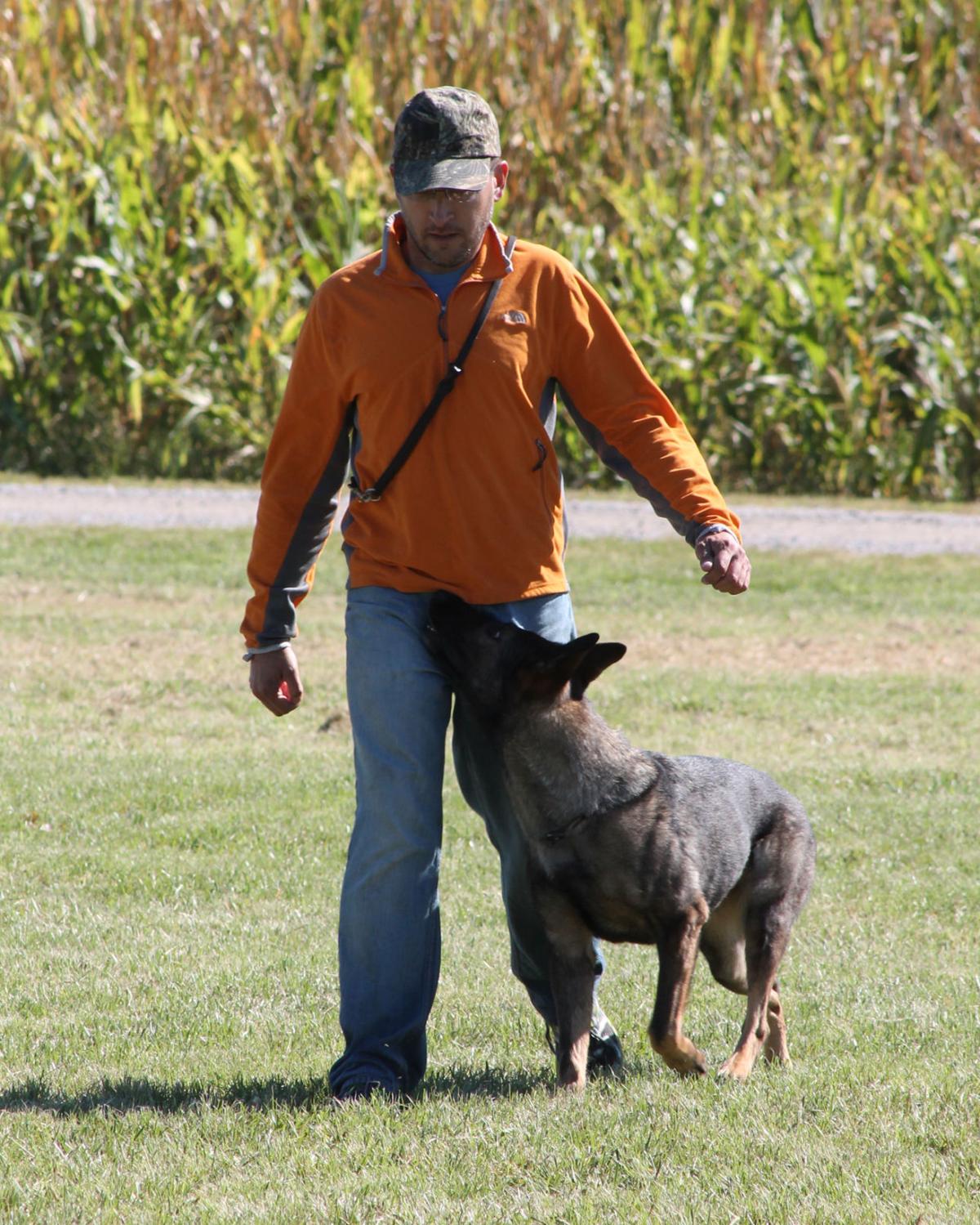 Dogs show skills in Ashland Local