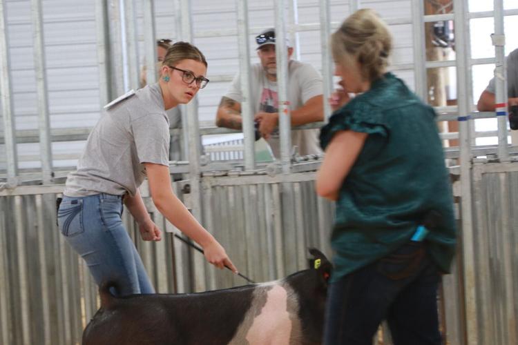 PHOTOS: Scotts Bluff County Fair Market Swine and Swine Showmanship 2026