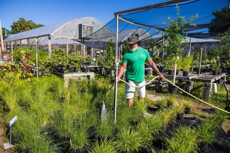 Campbell's Nurseries Location closing, 6.12