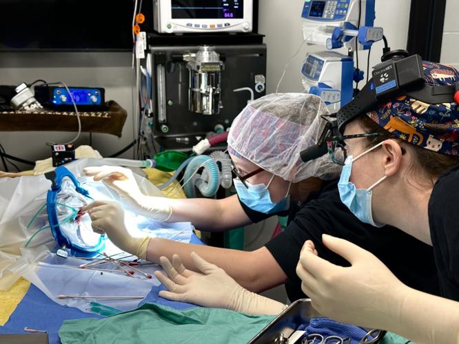 Dr. Carter Surgery.jpg