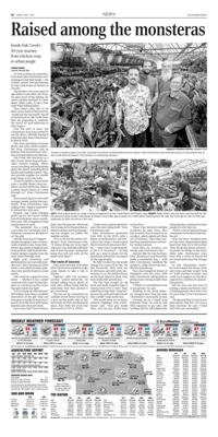 Page A6