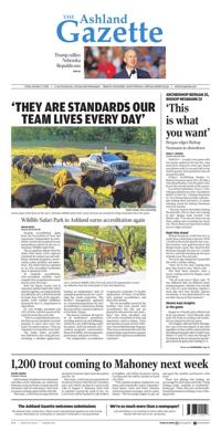 Page A1