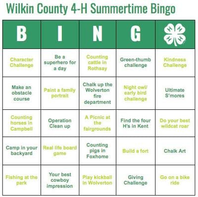 pics Life Bingo Challenge wilkin county 4 h kicks off bingo