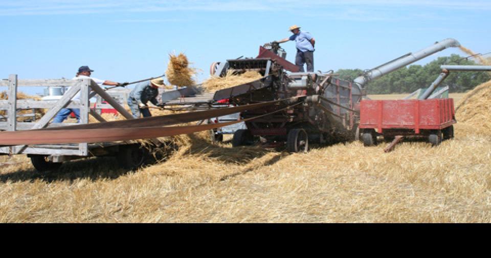 Rosholt, S.D., gearing up for its annual threshing bee News Monitor