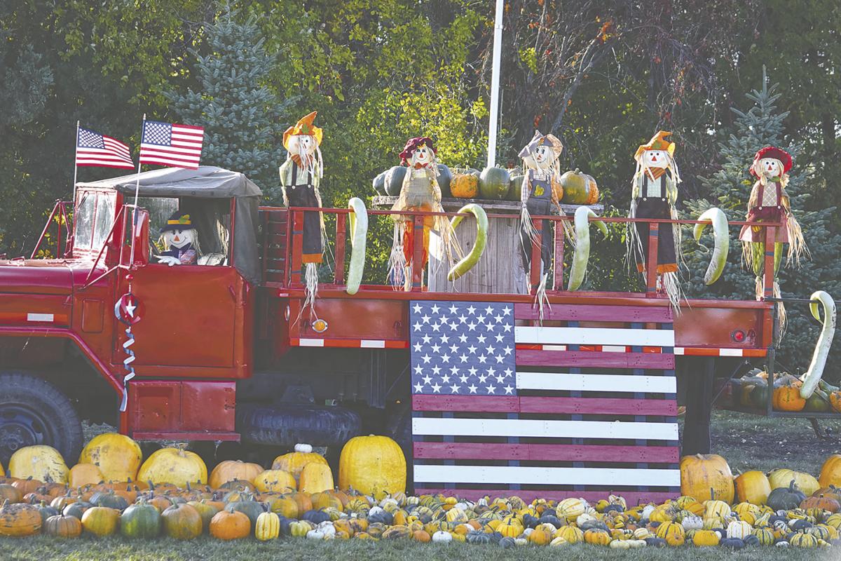 Gourds Galore Local News Stories Wahpetondailynews Com