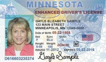 Minnesota offering enhanced driver’s licenses and ID cards | Local News ...