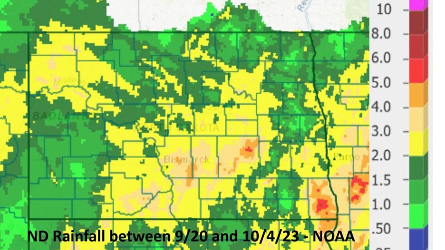 Good Trends, Some Challenges for ND Pheasant Opener Hunting and