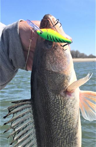 CrankEye