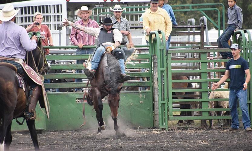Another amazing Aber Days Local News Stories