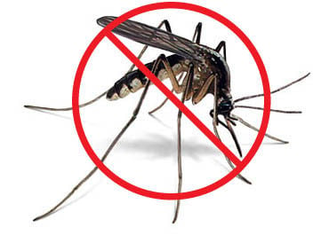 Cold temperatures brings close to mosquito season