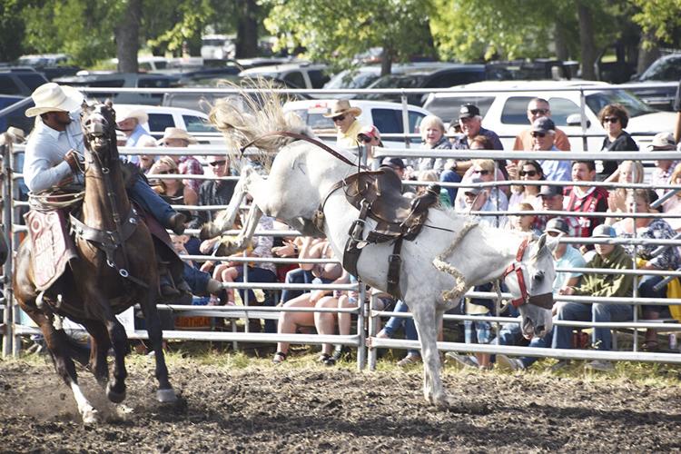 Community, guests come out for Aber Days Local News Stories