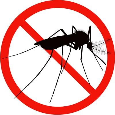 mosquite-1024x1024.jpg