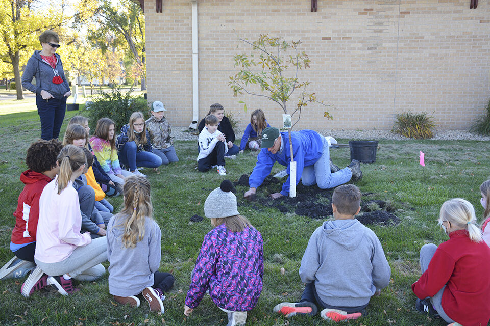 St. John’s students plant trees in Wahpeton Local News Stories