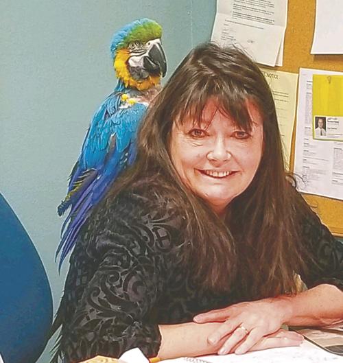 Saying goodbye to zoo's beloved macaw