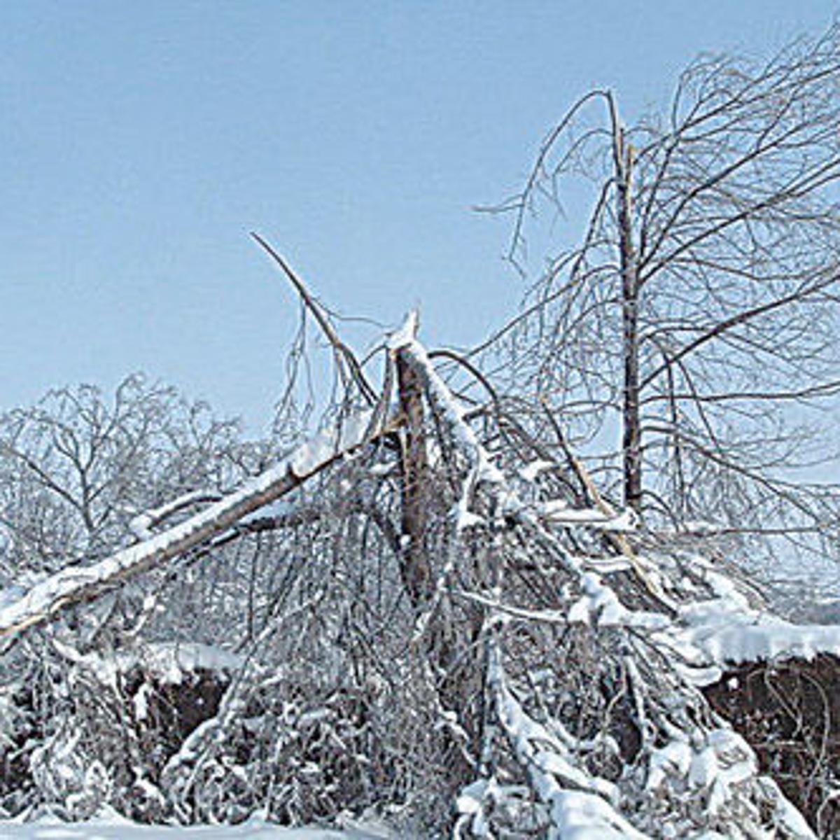 2005 Ice Storm Caused Power Outages 1 Million In Damages News Monitor Wahpetondailynews Com
