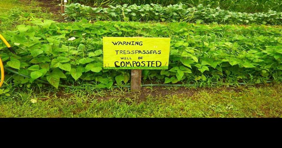 A lifelong seed collection project