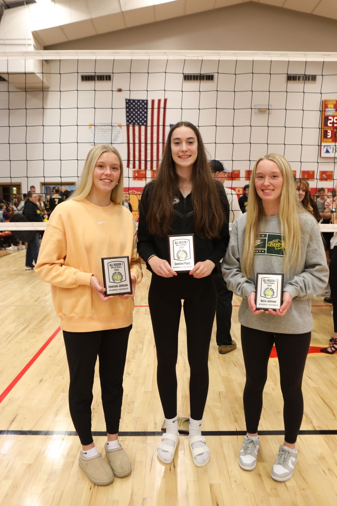 Wyndmere-Lidgerwood Volleyball Players Receive Regional Honors | News ...