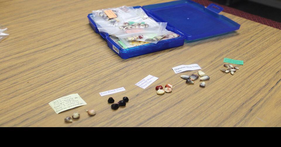 A lifelong seed collection project