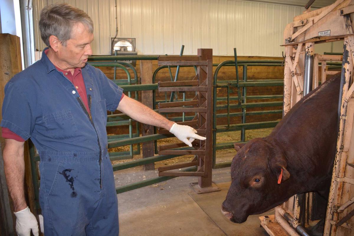 A day in the life of a vet Local News Stories