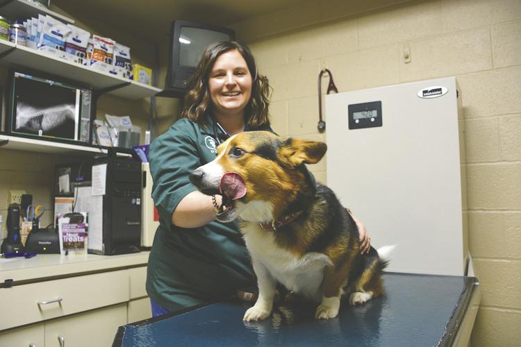 Pedersen joins Dakota Veterinary staff Local News Stories