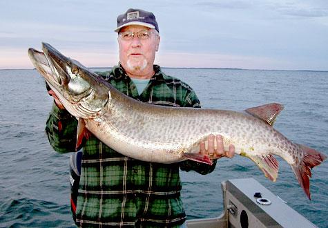 Muskies Caught On Leech Lake 