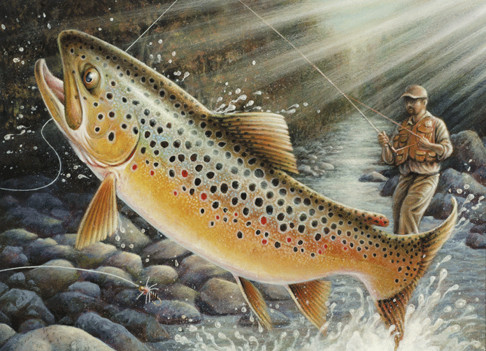 Stillwater artist wins trout and salmon stamp contest | Outdoors