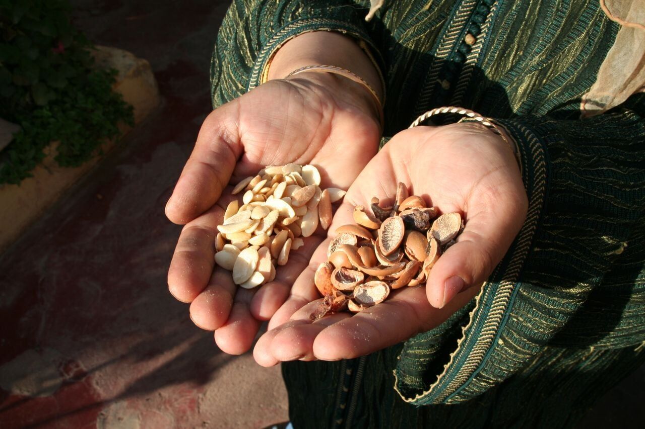 Can eating a pack of peanuts daily help improve your memory? | Health ...