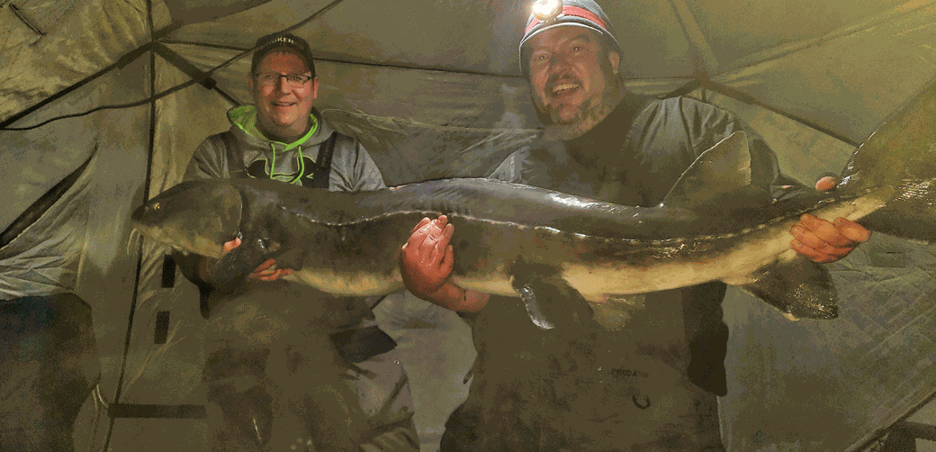 DNR certifies huge lake sturgeon as new catchandrelease state record