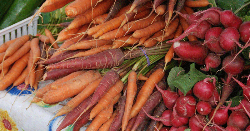 Maintain the flavor and freshness of this year's harvest