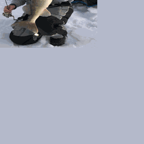 Action Outdoors: Rattle baits under the ice | Outdoors | walkermn.com