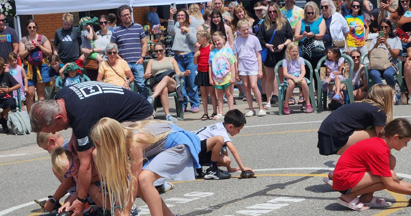 Turtle races back in Longville — June through August