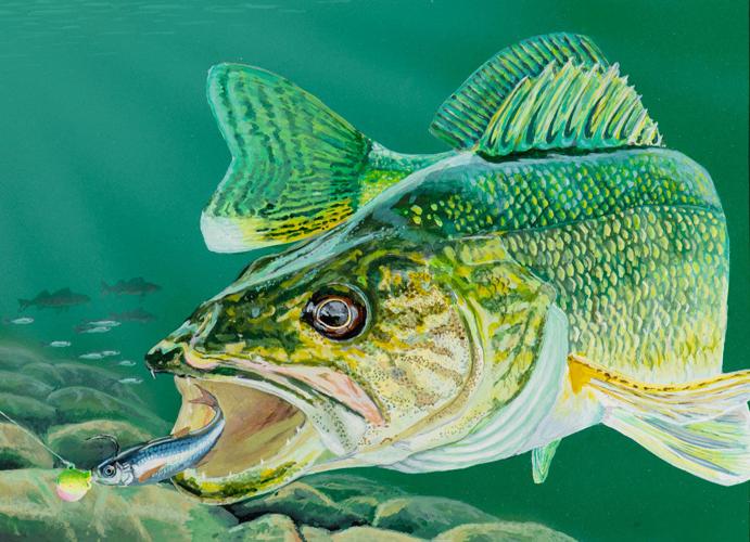 Winners chosen for 2024 trout and salmon stamp, walleye stamp contests