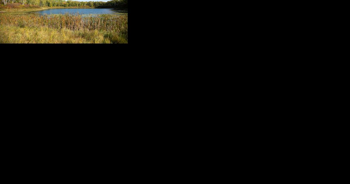 Celebrating new donation to the Paul Bunyan State Forest; More than 2,500 acres of forest, lakes, ponds will be added for National Public Lands Day - Vimarsana News