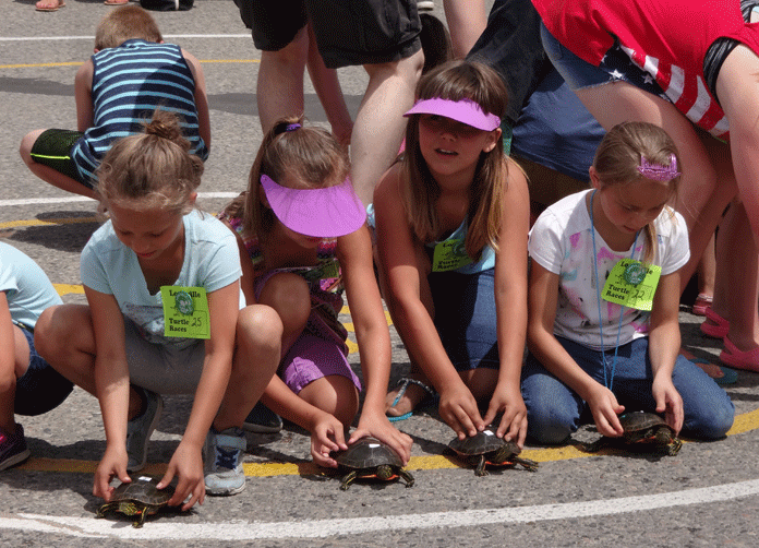 Longville’s third week of Turtle Races ends in a threeway tie News