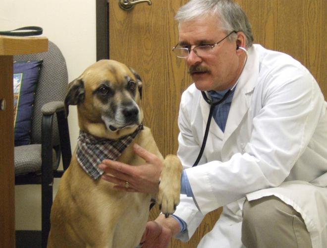 Walker Animal Hospital transitions to new ownership | News Walker Animal Hospital transitions to new ownership | News