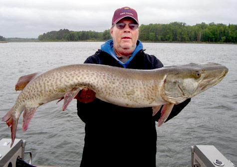 Muskies caught on Leech Lake | Sports | walkermn.com