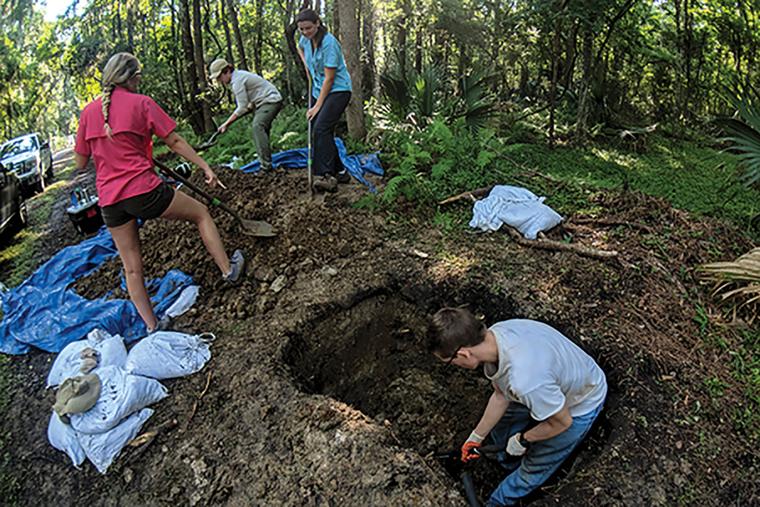 fossil digging sites near me
