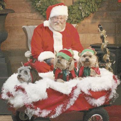 Pet pics with Santa | Communities | waltontribune.com