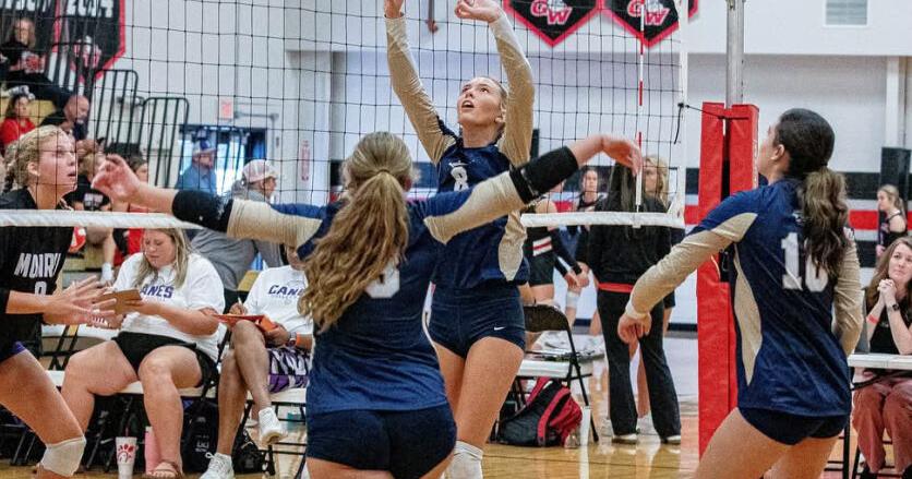 Lady Lions hire in-house for new head coach