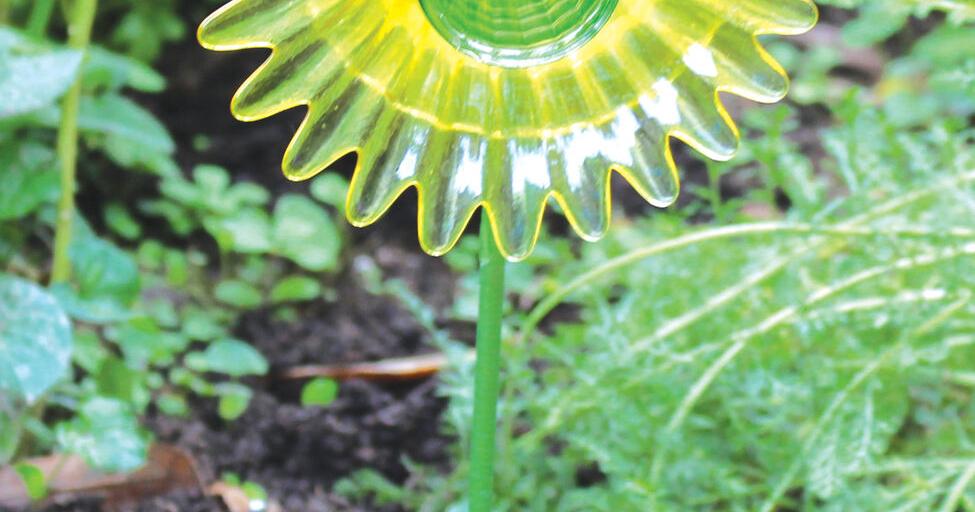 Die Herbst-Community-Tradition wird mit Plantapalooza | fortgesetzt KunstUnterhaltung | warrenrecord.com – warrenrecord.com Die Herbst-Community-Tradition wird mit Plantapalooza | fortgesetzt KunstUnterhaltung | warrenrecord.com – warrenrecord.com
