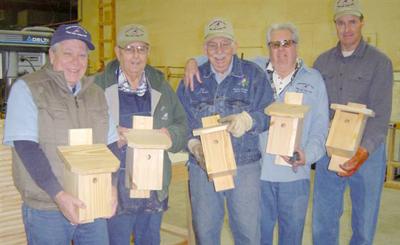 Bluebirds In Winter Conclusion Opinion Warrenrecord Com