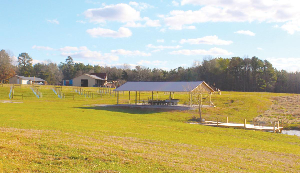 Seven Springs Farms & Vineyard achieves milestone News