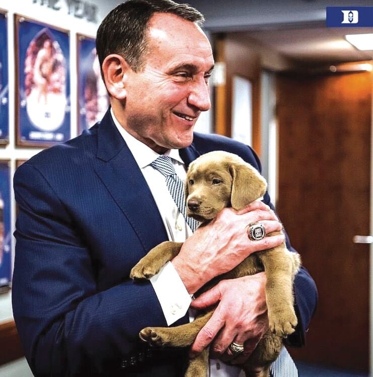 Coach K Puppy Update: Embracing Our Furry Friends