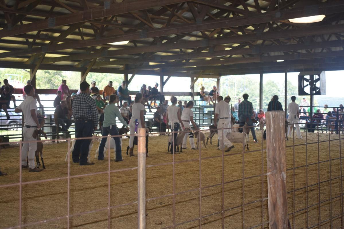 Warrick County hosts annual 4H Fair Local News